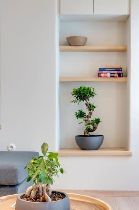 Nomade vibrant living loft Leilighet Ermoúpoli Eksteriør bilde